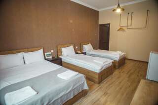 Отель Hotel Almi Ахалцихе Улучшенный двухместный номер Делюкс с 1 кроватью или 2 отдельными кроватями-2